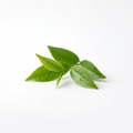 Tea Tree Oil