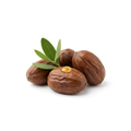 Jojoba Oil